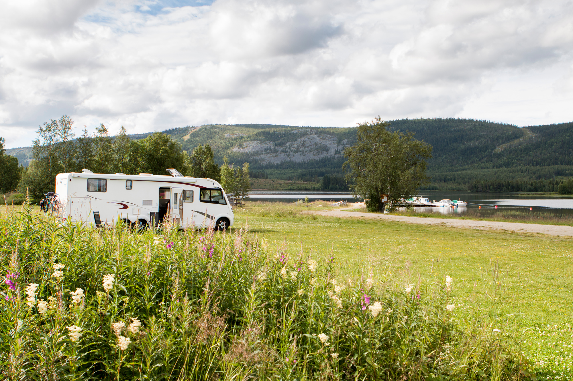 Motorhome Kings